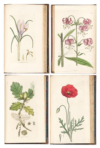 (BOTANICAL.) James Sowerby. English Botany; or, Coloured Figures of British Plants. [Plus Supplement].